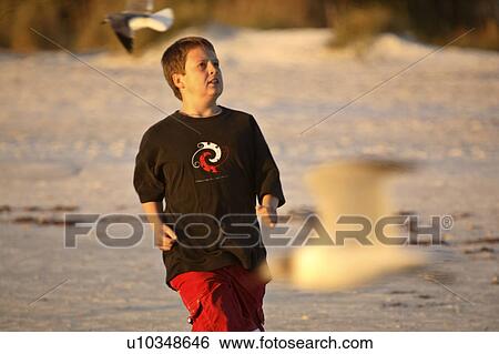 Stock Photograph - usa, chasing, florida, scenic, gulls, boy. Fotosearch