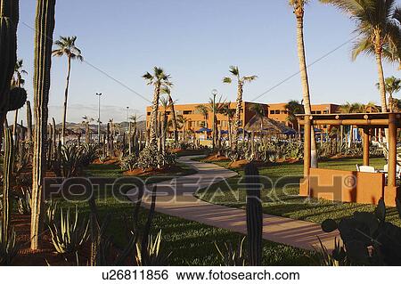 view, baja, cabos, hotel, general View Large Photo Image Stock Photograph - view, baja, cabos, hotel, general. Fotosearch