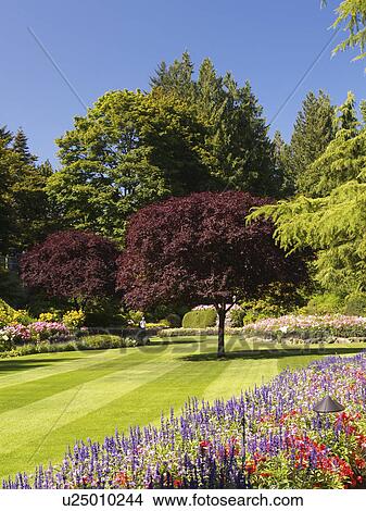 Picture - view, garden, sunken, taken, lovely. Fotosearch