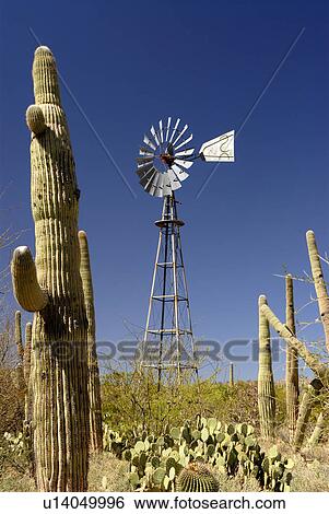 Stock Photograph - vintage, ranch, old, arizona, southern, windmill. Fotosearch
