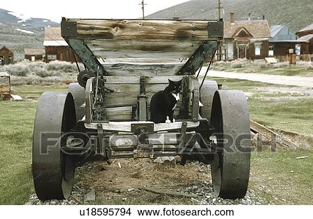 wagon, ghost, cat, california, town, bodie View Large Photo Image Picture - wagon, ghost, cat, california, town, bodie. Fotosearch
