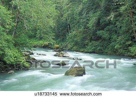 washington, river, mountains, mountain, valley, wa View Large Photo Image Stock Photography - washington, river, mountains, mountain, valley, wa. Fotosearch