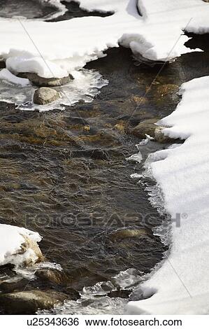 water, spring, creek, running View Large Photo Image Stock Photograph - water, spring, creek, running. Fotosearch