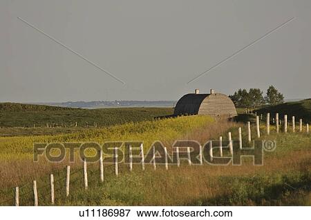 western, barn, saskatchewan, southern, scenic, old View Large Photo Image Stock Photo - western, barn, saskatchewan, southern, scenic, old. Fotosearch