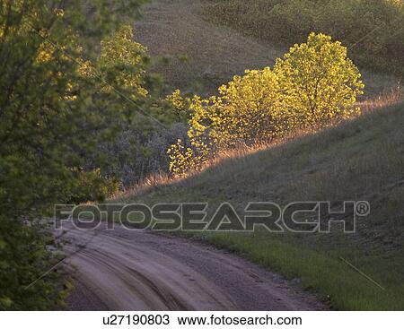 western, country, saskatchewan, southern, road, scenic View Large Photo Image Stock Image - western, country, saskatchewan, southern, road, scenic. Fotosearch