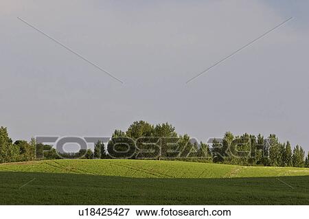 Stock Photo - western, landscape, saskatchewan, southern, scenic, lovely. Fotosearch