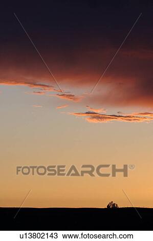 western, prairie, saskatchewan, scenic, sunset, gorgeous View Large Photo Image Stock Image - western, prairie, saskatchewan, scenic, sunset, gorgeous. Fotosearch