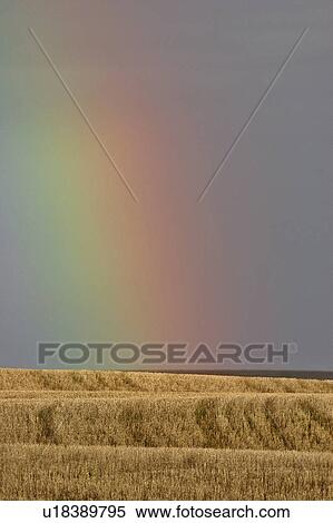 Stock Photography - western, prairies, saskatchewan, southern, scenic, rainbow. Fotosearch