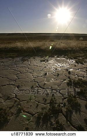 Stock Photo - wildlife, sun, lake, eyebrow, mudflats, setting. Fotosearch