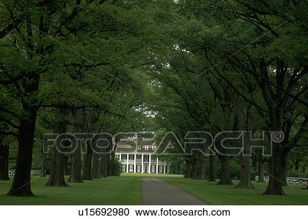 Stock Image - wooded, scene, mansion, arkansas, wilson, town. Fotosearch
