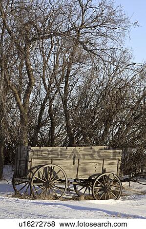 Stock Photo - wooden, wagon, old, trees, leafless, antique. Fotosearch