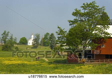 Stock Photography - worship, country, cathedral, sanctuary, church, little. Fotosearch