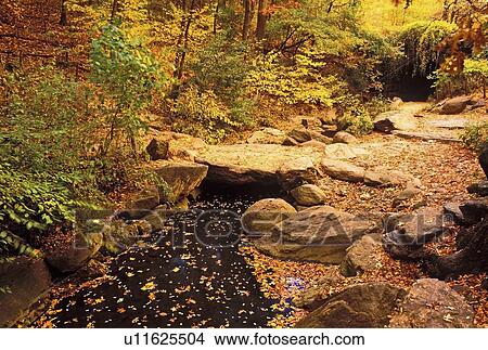 york, foliage, new, park, central, fall View Large Photo Image Picture - york, foliage, new, park, central, fall. Fotosearch
