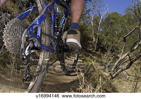 Stock Photograph - young, through, riging, male, active. Fotosearch