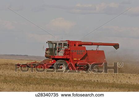 2005, combining, fall, crop, bumper, farmer View Large Photo Image Stock Photography - 2005, combining, fall, crop, bumper, farmer. Fotosearch