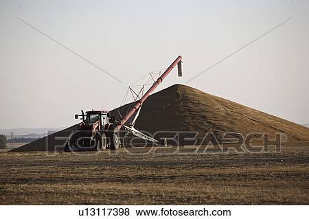 301, pile, highway, crop, bumper, grain View Large Photo Image Stock Photo - 301, pile, highway, crop, bumper, grain. Fotosearch