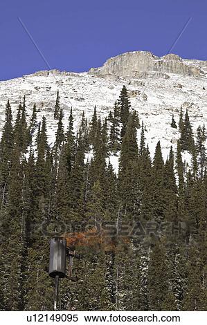 Stock Photography - alberta, covered, rocky, winter, mountains, snow. Fotosearch