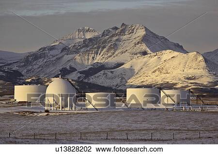 alberta, mountains, covered, snow, winter, rocky View Large Photo Image Stock Image - alberta, mountains, covered, snow, winter, rocky. Fotosearch