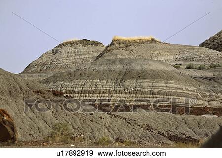 Stock Photo - alberta, provincial, patricia, nw, park, dinasaur. Fotosearch