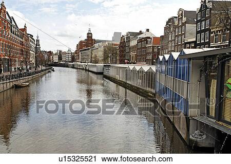 amsterdam, flower, canal, singel, market, floating View Large Photo Image Stock Image - amsterdam, flower, canal, singel, market, floating. Fotosearch