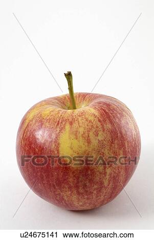 apple, fruit, background, white, red View Large Photo Image Stock Image - apple, fruit, background, white, red. Fotosearch