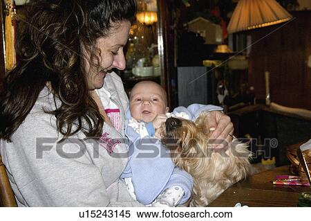 Stock Photography - baby, goldendoodle, new, inspecting, dog, family. Fotosearch