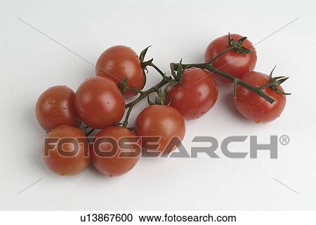 Stock Image - baby, white, cherry, tomatoes, red. Fotosearch
