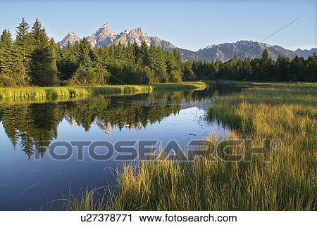 Stock Image - backwater, meadow, reflected, mountains, teton, grassy. Fotosearch