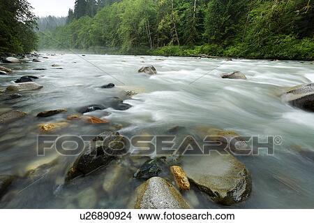 Picture - baker, river, mt, campground, verlot, stillaguamish. Fotosearch