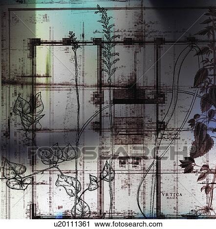 Stock Image - balanced, botanical, construct, elements, architectural, collage. Fotosearch