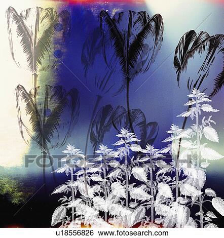 Stock Photograph - balanced, botanical, construct, elements, architectural, collage. Fotosearch