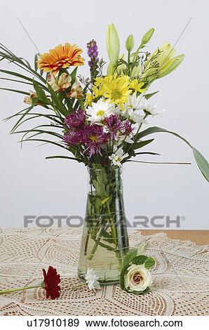 Stock Photo - barcelona, life, geltru, vilanova, flowers, still. Fotosearch
