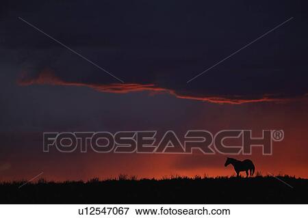 behind, sun, clouds, up, lighting, set View Large Photo Image Stock Photo - behind, sun, clouds, up, lighting, set. Fotosearch