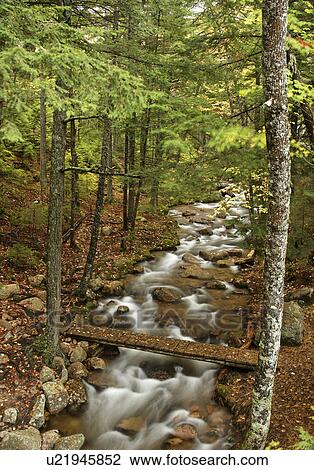 bridge, mount, stream, jordan, foot View Large Photo Image Stock Image - bridge, mount, stream, jordan, foot. Fotosearch