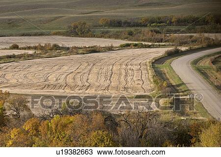 buffalo, fields, valley, appelle, qu, harvested View Large Photo Image Stock Image - buffalo, fields, valley, appelle, qu, harvested. Fotosearch