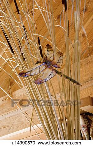 cable, dragonfly, reeds, bunch, resting, artistic View Large Photo Image Stock Image - cable, dragonfly, reeds, bunch, resting, artistic. Fotosearch