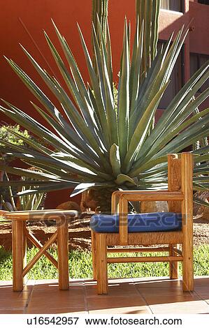 Stock Photo - cactus, hotel, garden, behind, chair. Fotosearch