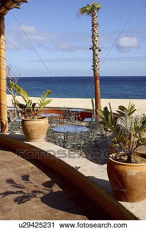 california, beach, baja, cabos, oflos, restaurant View Large Photo Image Stock Image - california, beach, baja, cabos, oflos, restaurant. Fotosearch