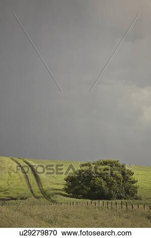 canada, clouds, saskatchewan, scenic, rain, storm View Large Photo Image Stock Image - canada, clouds, saskatchewan, scenic, rain, storm. Fotosearch