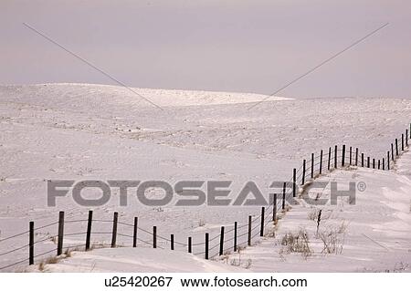 canada, covered, saskatchewan, scenic, hills, snow View Large Photo Image Stock Photo - canada, covered, saskatchewan, scenic, hills, snow. Fotosearch