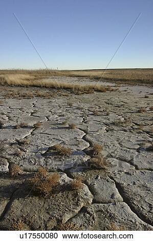 Stock Image - canada, eyebrow, saskatchewan, scenic, lake, mudflats. Fotosearch