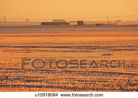 Picture - canada, view, saskatchewan, scenic, sunset, winter. Fotosearch