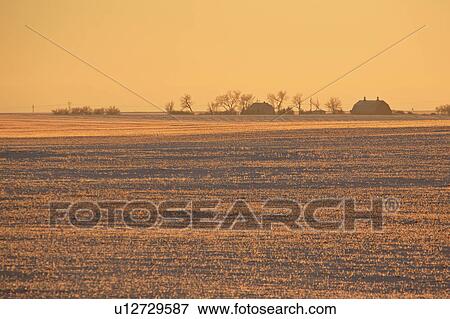 canada, view, saskatchewan, scenic, sunset, winter View Large Photo Image Stock Photo - canada, view, saskatchewan, scenic, sunset, winter. Fotosearch