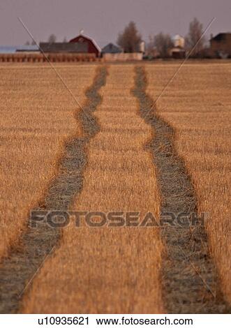 Stock Image - canada, view, western, saskatchewan, scenic, prairie. Fotosearch