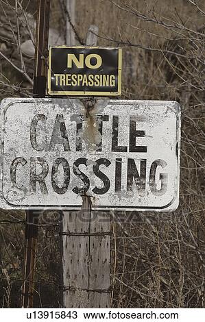 Stock Image - cattle, fence, canada, saskatchewan, scenic, sign. Fotosearch
