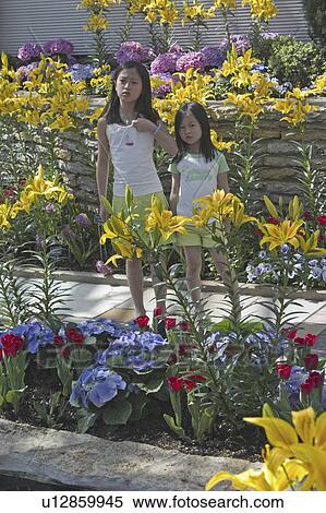 children, 11, age, kids, asian View Large Photo Image Stock Photography - children, 11, age, kids, asian. Fotosearch