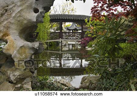 Picture - chinese, pond, water, lake, bridge, garden. Fotosearch
