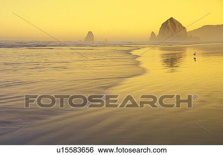 coastline, rock, oregon, sunrise, travel, clatsop View Large Photo Image Stock Photograph - coastline, rock, oregon, sunrise, travel, clatsop. Fotosearch