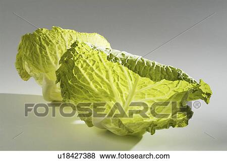 Stock Photo - cooking, leaves, cook, closeup, background, cabbage. Fotosearch