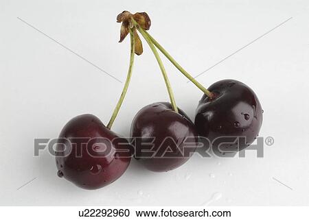 Stock Image - cooking, white, cook, comestible, background, cherry. Fotosearch